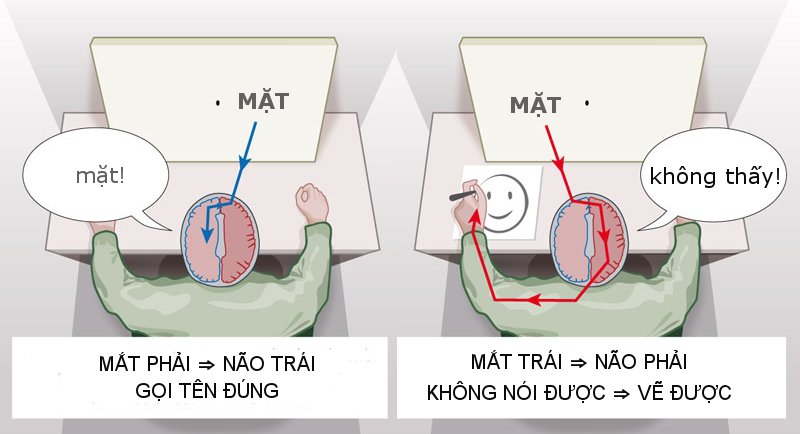 Thử nghiệm